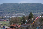 100503_mae4_05 100503_mae4_05