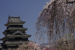 _IGP5438 _IGP5438