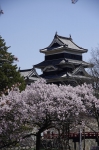 _IGP5454 _IGP5454