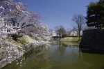 _IGP5511 _IGP5511