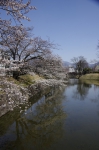 _IGP5519 _IGP5519