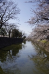 _IGP5529 _IGP5529