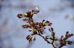 _IGP5571 _IGP5571