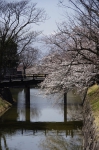_IGP5577 _IGP5577
