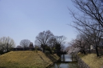 _IGP5586 _IGP5586