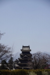 _IGP5595 _IGP5595