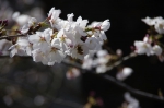 _IGP5607 _IGP5607
