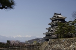 _IGP5623 _IGP5623
