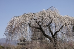 _IGP5716 _IGP5716