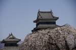 _IGP5726 _IGP5726