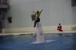 _IGP6074 _IGP6074