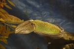 _IGP6649 _IGP6649