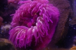 _IGP6726 _IGP6726