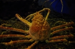 _IGP6736 _IGP6736