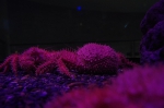 _IGP6749 _IGP6749