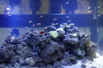 _IGP6762 _IGP6762