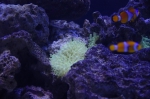 _IGP6793 _IGP6793