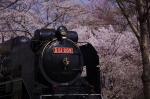 _IGP7889 _IGP7889