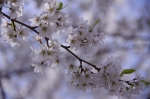 _IGP7891 _IGP7891