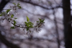 _IGP7900 _IGP7900