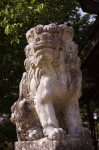 _IGP7936 _IGP7936