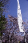 _IGP7937 _IGP7937