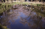 _IGP7538 _IGP7538