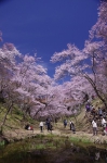 _IGP7585 _IGP7585