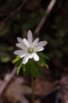 _IGP7609 _IGP7609
