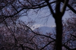 _IGP7625 _IGP7625