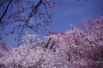 _IGP7626 _IGP7626