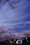 _IGP7631 _IGP7631