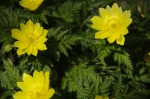 _IGP7731 _IGP7731