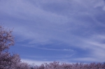 _IGP7743 _IGP7743