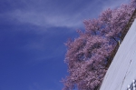 _IGP7760 _IGP7760