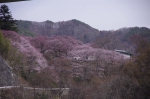_IGP7826 _IGP7826