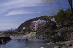 _IGP7850 _IGP7850