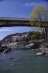_IGP7859 _IGP7859