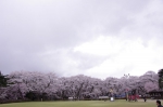 _IGP8522 _IGP8522