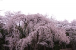 _IGP8534 _IGP8534