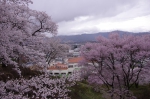 _IGP8565 _IGP8565