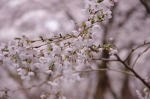 _IGP8669 _IGP8669