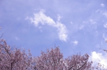 _IGP8682 _IGP8682