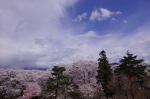 _IGP8707 _IGP8707