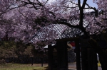 _IGP7990 _IGP7990