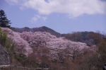 _IGP8508 _IGP8508