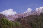 _IGP8509 _IGP8509