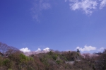 _IGP8511 _IGP8511