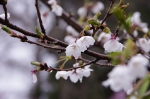 110423_suta_2 110423_suta_2