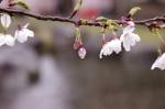 110423_suta_3 110423_suta_3